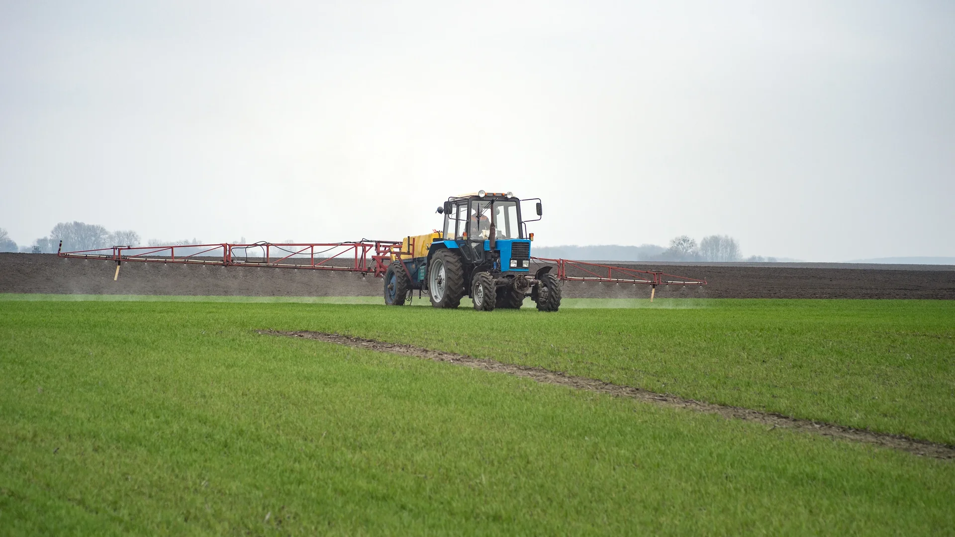 Los agroqu&iacute;micos y el medio ambiente
